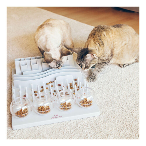 Trixie Trixie - Activity Fun Board - 1 piece 2