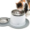 Catit Catit Peanut Placemat, Medium, Grey 5