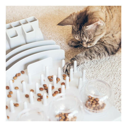Trixie Trixie - Activity Fun Board - 1 piece 1