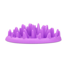Company of Animals CATCH Interactive Cat Slow Feeder, Best Fun Slow Feeder Cat Bowl, Anti-Gulp, Gobble Stopper, Mental Stimulation Cat Puzzle Game,