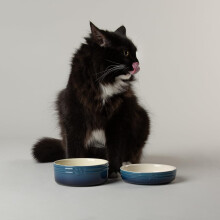 Scruffs Ombre 2pc Cermaic Cat Food & Drink Bowl Set - Blue