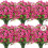 Rose artificiali resistenti ai raggi UV, 24 mazzi 1