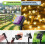 Solar-Lichterkette, 4,9 m, warmweiß, 20 LEDs 4