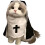 Déguisement d'Halloween pour petits chiens (taille L) 2