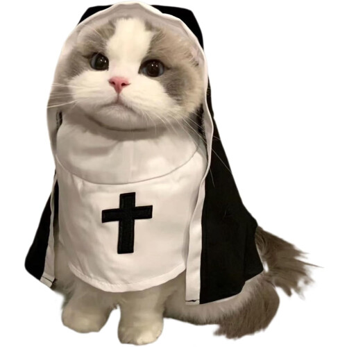 Déguisement d'Halloween pour petits chiens (taille L) 1