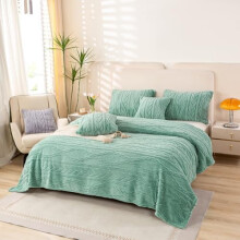 Sherpa Twin XL Pluche Deken Lichtgroen 65" x 90"