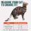 Escape Proof Cat Harness and Leash Set 1 Pack 5