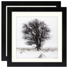 Black 10x10 (25x25 cm) Photo Frames Display 8x8 Pictures - Square Classic Solid Wood Frames for Wall Mount and Tabletop 2 Pack