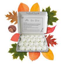 Autumn Wax Melts| Strong Scented| 20 Pack| Luxury Gift Set Wax Melts| 4 Scent Mix, Pumpkin Spice, Warming Cashmere, Amber and Sweet Orange, Fireside
