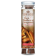 Scentsicles Brand Two Dashes of Cinnamon Scented Ornaments with Hooks - Potpourri Sachet, 6 Sticks in 1 Bottle