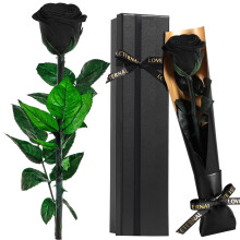 Roses Gifts for Women - Eternal Rose Preserved Flowers with Stem - Real Rose Fresh Flower Gifts for Her Girlfriend Wife Mum Women Flowers Gift Wife