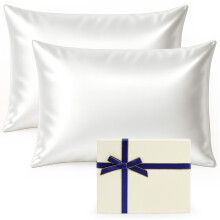 tenn well 2 Pack Mulberry Silk Pillowcases for Hair and Skin, Both Sides 100% Pure Silk Pillowcase 19 Momme Soft Smooth Pillow Case with Hidden Zipper