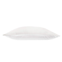 Jasmine Silk 100% Pure Mulberry Silk 19 Momme Charmeuse Silk Pillowcase With Cotton underside for Hair and Skin 1pc 50 x 75 cm Hypoallergenic Envelope