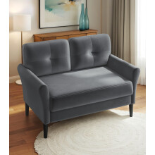 Domusensus 2 Seater Sofa, 123CM Modern Small Sofas, Comfy Couch with Spring Cushion, Velvet Two Seater Sofa With Wood Legs, Love Seat for Living Room,