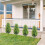 20 Inch Artificial Norfolk Pine Stakes 2-Pack 2