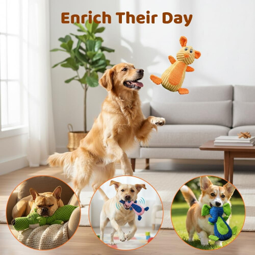 Quietsch-Plüschtier: Elefant, Schwein, Kaninchen, Wolf (1 Stück) 1