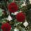 Flocked Christmas Balls 10 cm 2-Piece Red Set 5