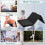 Folding Gymnastics Mat Black 4 ft x 8 ft x 2 in 6