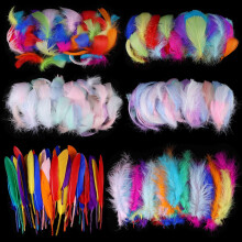 XINRUI 500pcs Feather for Crafts, Colorful Feathers Natural Goose Feathers for Diy Dream Catcher Carnival Decorations/hat/vase/mask, Fluffy & Soft, 6