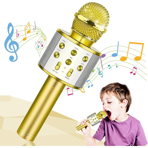 Gold Handheld Wireless Karaoke Microphone