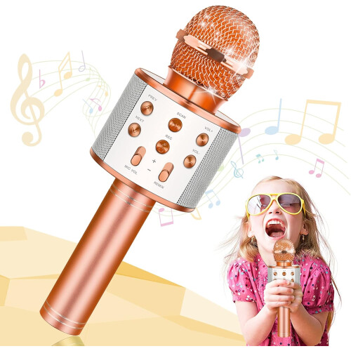 Champagne Handheld Wireless Karaoke Microphone