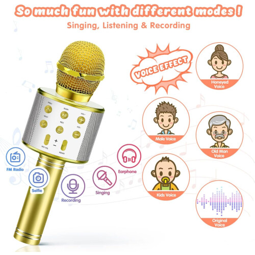 Gold Handheld Wireless Karaoke Microphone 1