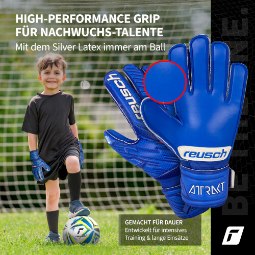 Reusch Reusch Attrakt Silver Glove Deep Blue/Deep Blue 7.5 2