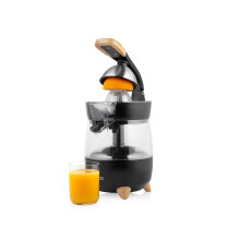 Princess Pure Juicer 1 Litre - 3 Position Pouring Spout - Direct or in The Jug - Drip-Free System