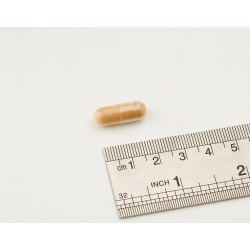 Solgar SOLGAR Ashwaganda Root, 60 CT 2