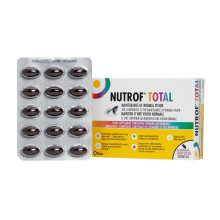 Nutrof Total Capsules – Eye Health Supplement with Lutein, Zeaxanthin, Omega 3, and Antioxidants | Essential Nutrients for Optimal