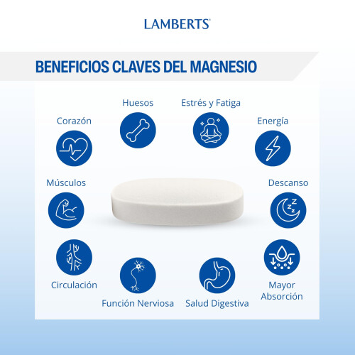 Lamberts Lamberts MAGNESIUM 375 60 TABS, White 2