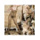 (ONE SIZE, Leopard) Body sexy léopard lingerie érotique 2