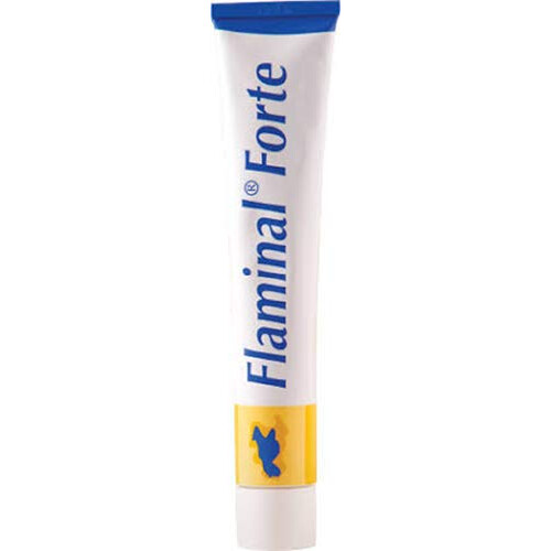 FLAMINAL Forte ALGINATE Gel 15g