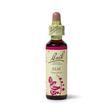 Bach Original Flower Remedies (Elm) Find Joy & Hope, Be Efficient, Emotional Wellness, Natural Flower Essence, 20ml