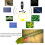 Capture and Zoom with USB2.0 Digital Microscope 1000X Magnifier Camera 5