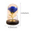 Blue Eternal Rose in Glass Dome with LED Night Light 3