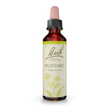Bach Original Flower Remedies (Mustard) Live The Day, Stay Joyful, Emotional Wellness, Natural Flower Essence, 20ml