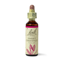 Bach Original Flower Remedies (Sweet Chestnut) Find Joy & Hope, Remain Optimistic, Emotional Wellness, Natural Flower Essence, 20m