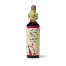 Bach Original Flower Remedies Larch, Find Joy & Hope, Have Confidence, Emotional Wellness, Natural Flower Essence, 20ml