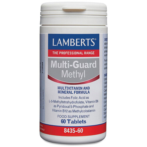 Lamberts Lamberts Multi-Guard Methyl 60 Tablets