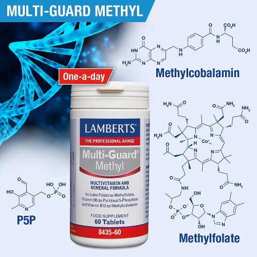 Lamberts Lamberts Multi-Guard Methyl 60 Tablets 1