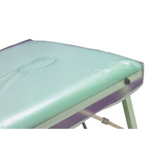 Hive of Beauty PVC Protective Professional waxing Massage Beauty Couch Cover (68 x 32 inches) CODE: HBA0910