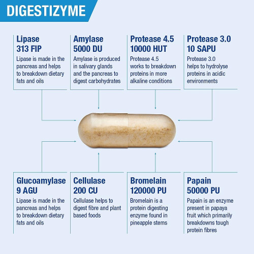 Lamberts Lamberts Digestizyme 100 Capsules by Lamberts 2