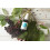 Organic Elderberry Throat Spray 2