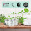 BEN&ANNA Toothpaste Sensitive Jar 100gr 2