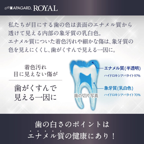 Sangi Apagard Royal Anticaries Restorative Whitening Toothpaste 40g 2