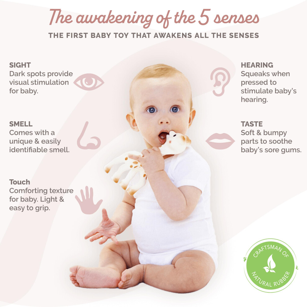 Photos - Bottle Teat / Pacifier Sophie la Girafe Baby Teether – 100 Natural Rubber Teething Toy – Hand 