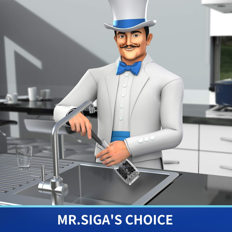 Mr.siga Mrsiga Long Handle Bottle Brush Cleaning Brush For Water Bottle Glassw