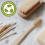 Quest 200 Cotton Buds (Bamboo Stem) 4