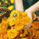 Weleda Weleda Toothpaste with Calendula, 75ml 5